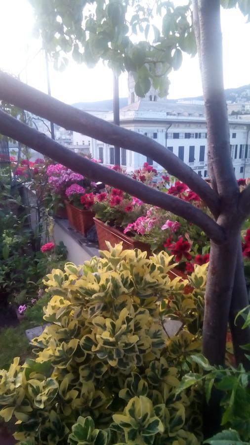 ג'נובה Bed And Breakfast " La Terrazza" מראה חיצוני תמונה